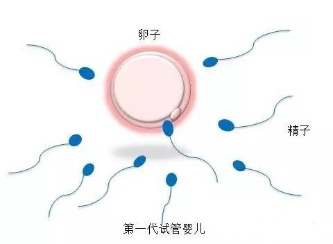 同仁堂国医馆